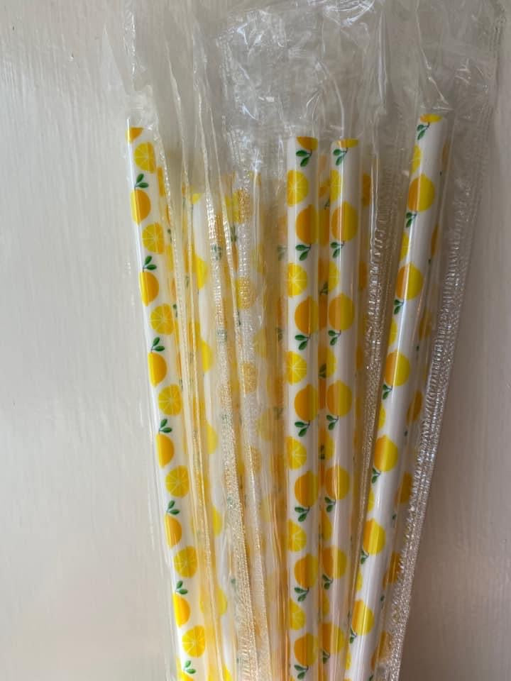 Plastic Reusable Straws