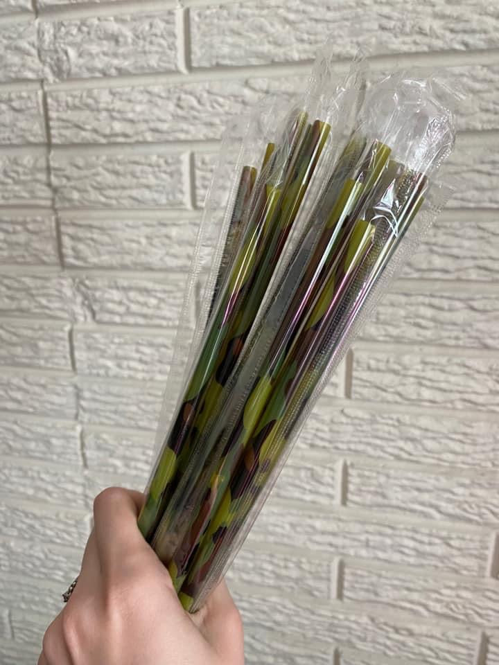 Plastic Reusable Straws