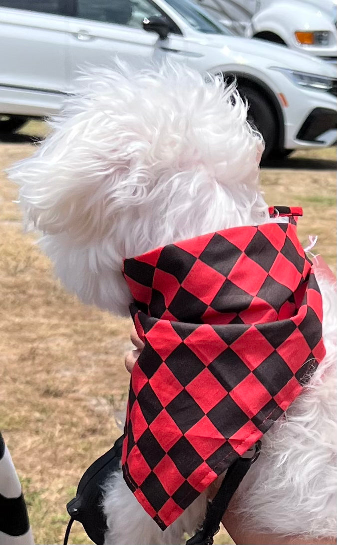 Furbaby Scarf