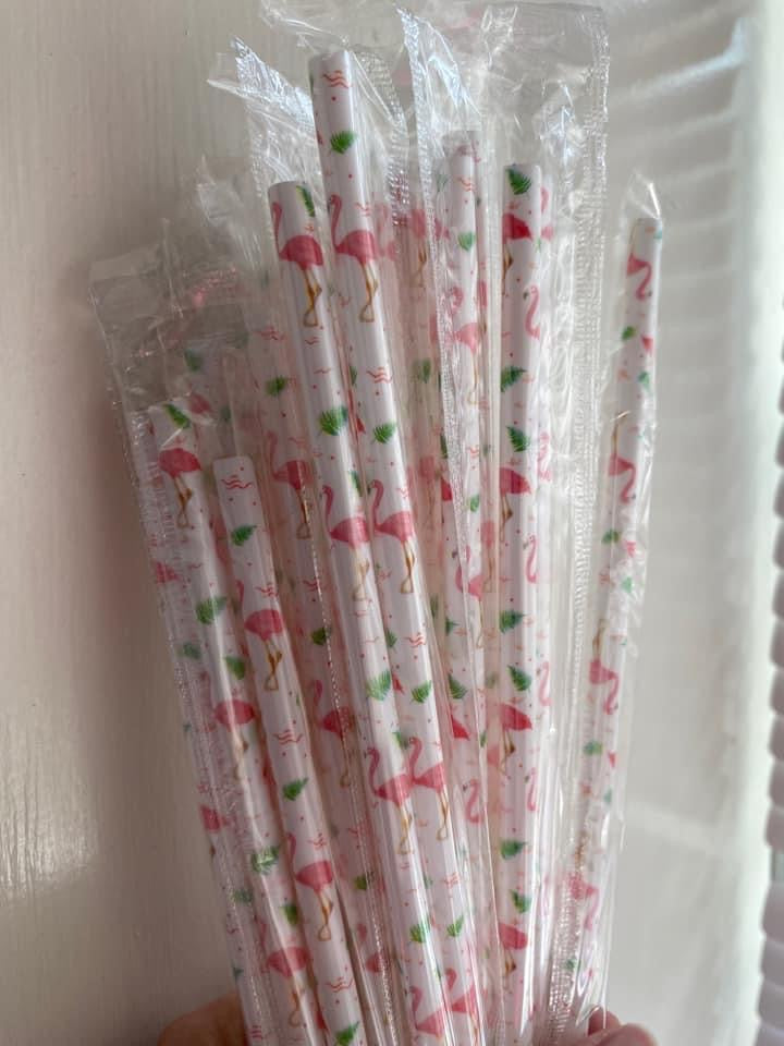 Plastic Reusable Straws