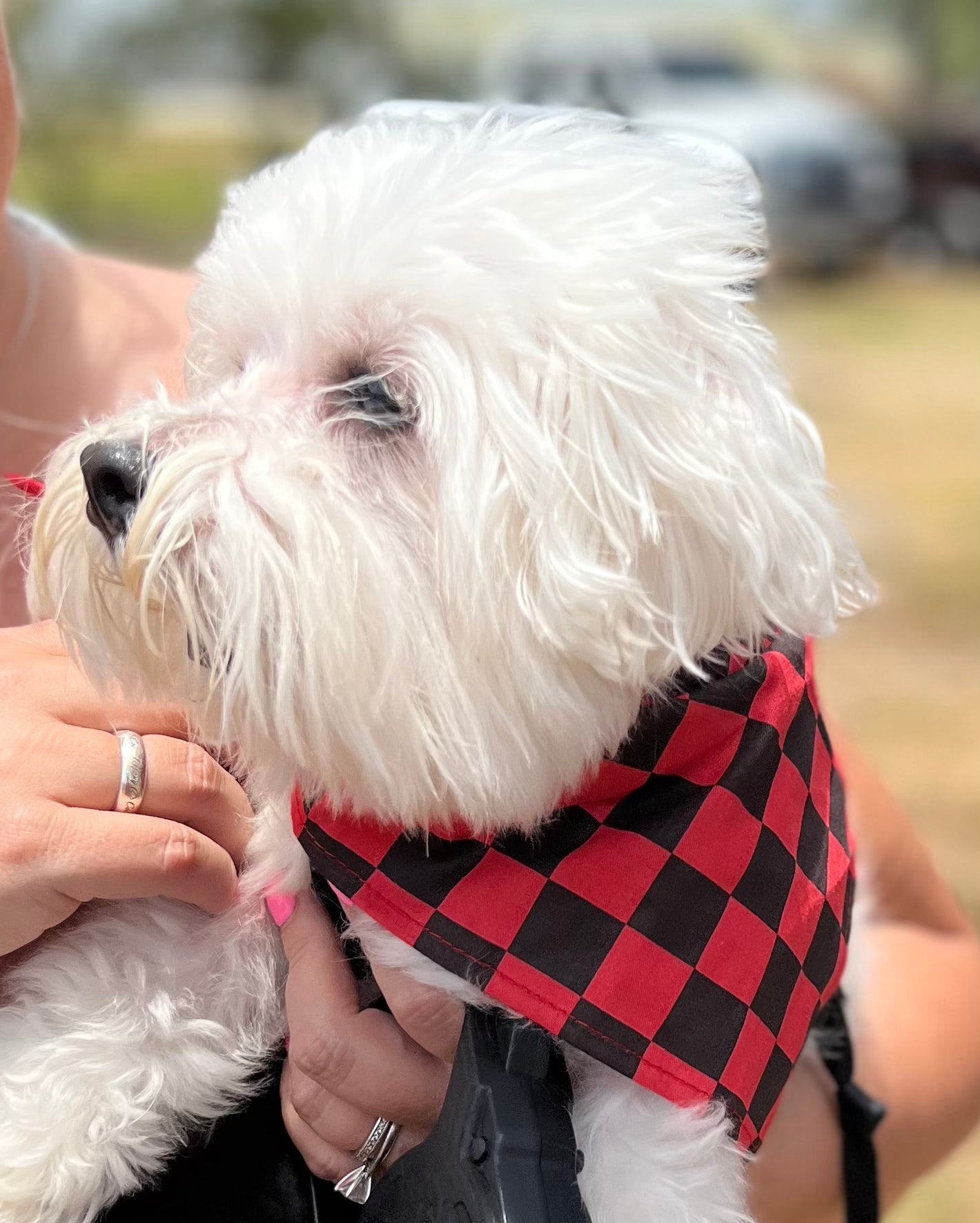 Furbaby Scarf